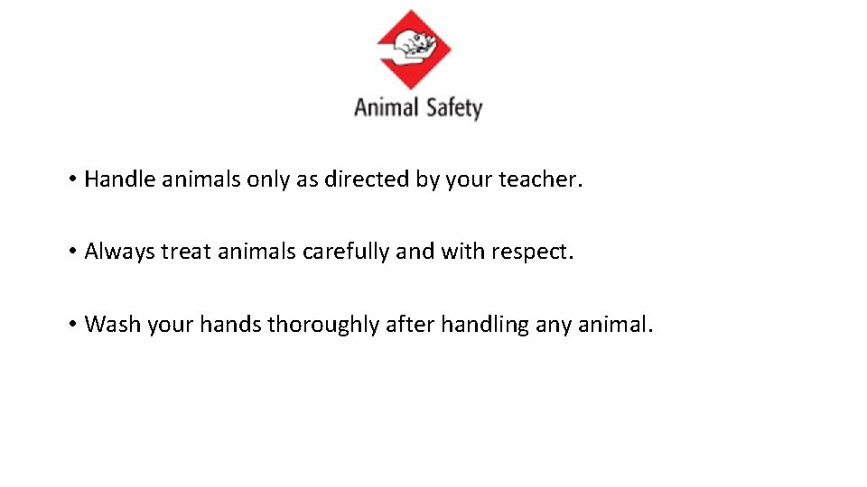  • Handle animals only as directed by your teacher. • Always treat animals
