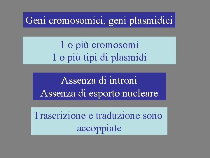 Geni cromosomici, geni plasmidici 1 o più cromosomi 1 o più tipi di plasmidi