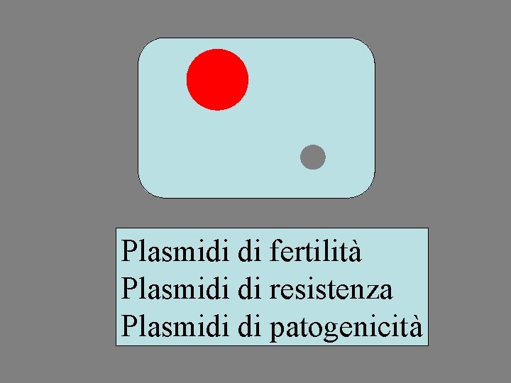 Plasmidi di fertilità Plasmidi di resistenza Plasmidi di patogenicità 