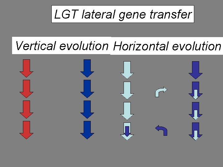 LGT lateral gene transfer Vertical evolution Horizontal evolution 