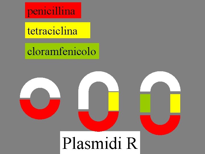 penicillina tetraciclina cloramfenicolo Plasmidi R 