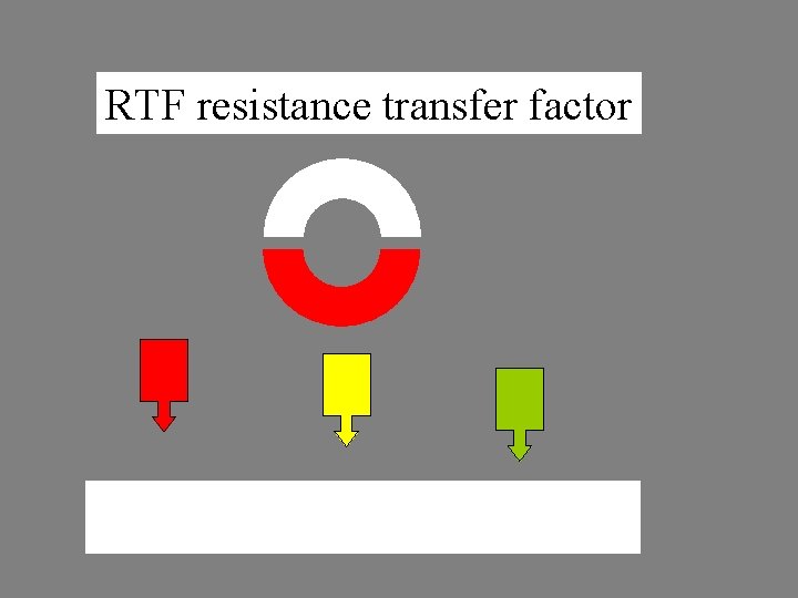 RTF resistance transfer factor 