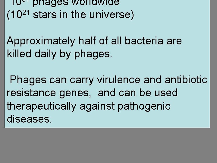 1031 phages worldwide (1021 stars in the universe) Approximately half of all bacteria are
