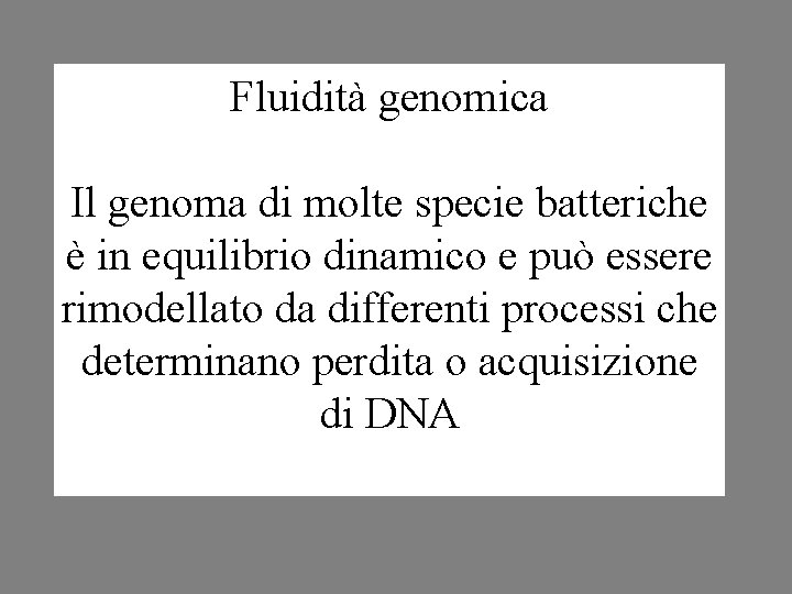 Fluidità genomica Il genoma di molte specie batteriche è in equilibrio dinamico e può