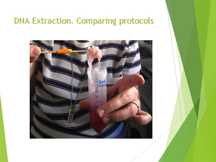 DNA Extraction. Comparing protocols 