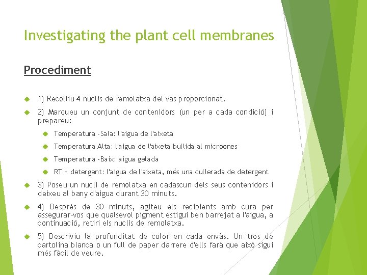 Investigating the plant cell membranes Procediment 1) Recolliu 4 nuclis de remolatxa del vas