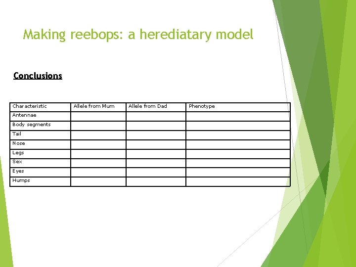 Making reebops: a herediatary model Conclusions Characteristic Antennae Body segments Tail Nose Legs Sex