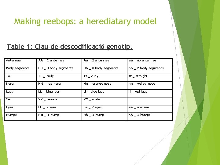 Making reebops: a herediatary model Table 1: Clau de descodificació genotip. Antennae AA _