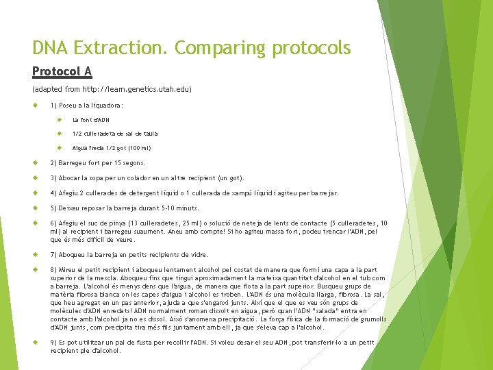 DNA Extraction. Comparing protocols Protocol A (adapted from http: //learn. genetics. utah. edu) 1)