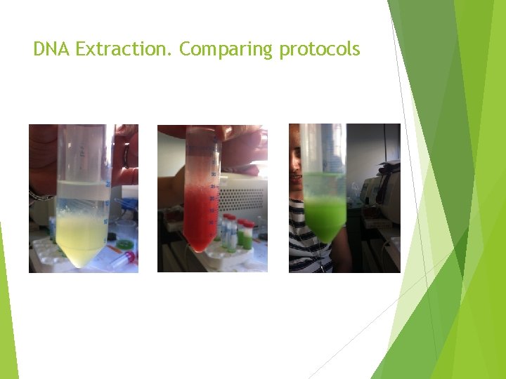 DNA Extraction. Comparing protocols 