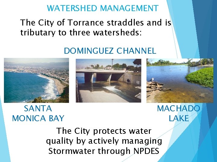 WATERSHED MANAGEMENT The City of Torrance straddles and is tributary to three watersheds: DOMINGUEZ
