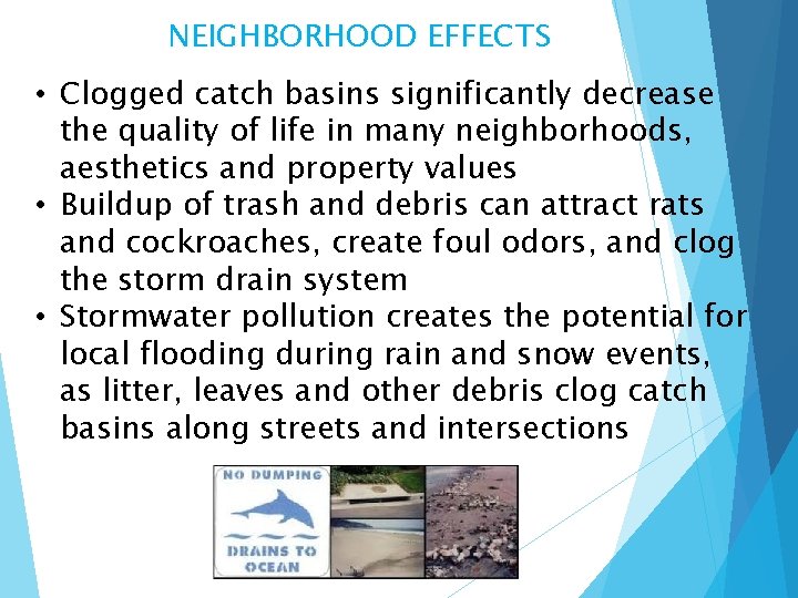 NEIGHBORHOOD EFFECTS • Clogged catch basins significantly decrease the quality of life in many