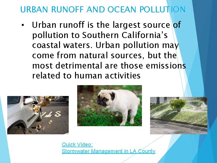 URBAN RUNOFF AND OCEAN POLLUTION • Urban runoff is the largest source of pollution
