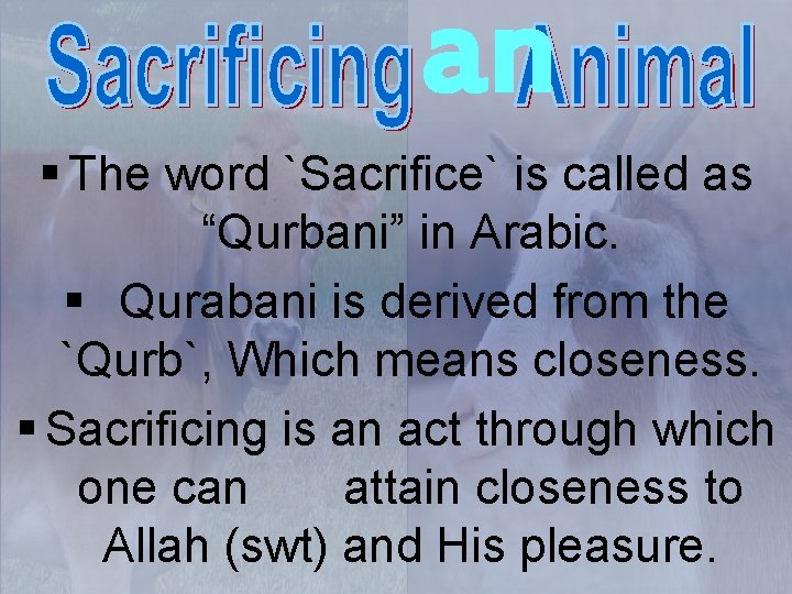 an § The word `Sacrifice` is called as “Qurbani” in Arabic. § Qurabani is