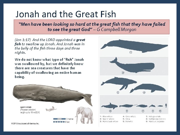 Jonah and the Great Fish “Men have been looking so hard at the great