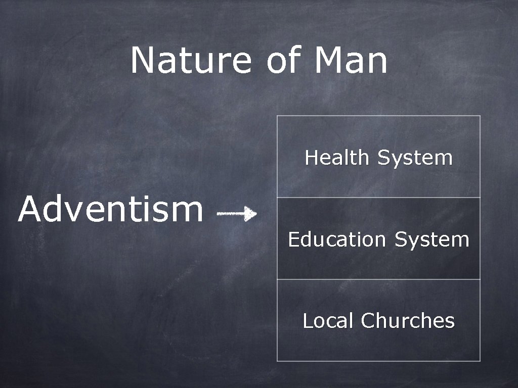 Nature of Man Health System Adventism Education System Local Churches 