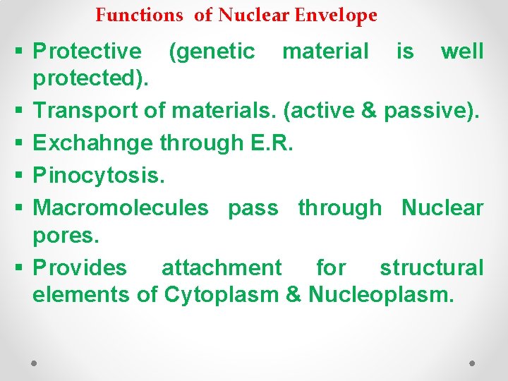 Functions of Nuclear Envelope § Protective (genetic material is well protected). § Transport of