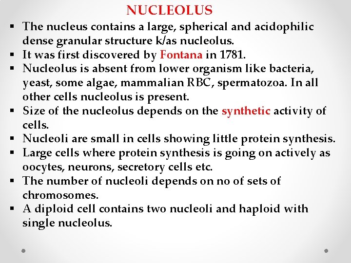 NUCLEOLUS § The nucleus contains a large, spherical and acidophilic dense granular structure k/as