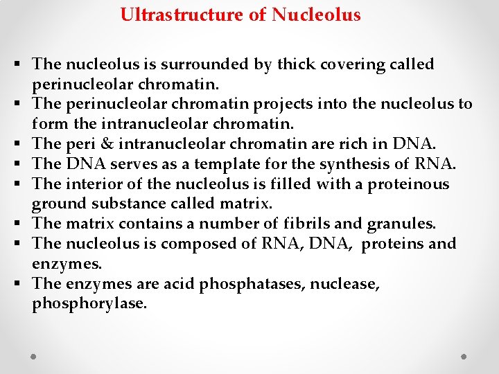 Ultrastructure of Nucleolus § The nucleolus is surrounded by thick covering called perinucleolar chromatin.