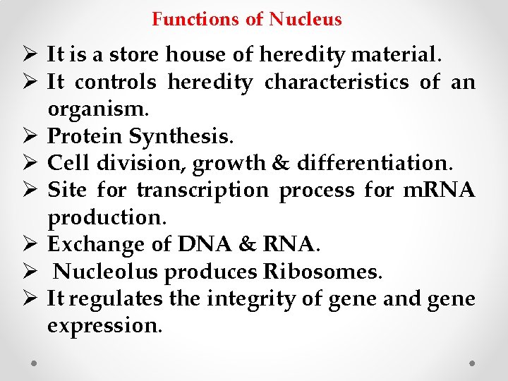 Functions of Nucleus Ø It is a store house of heredity material. Ø It