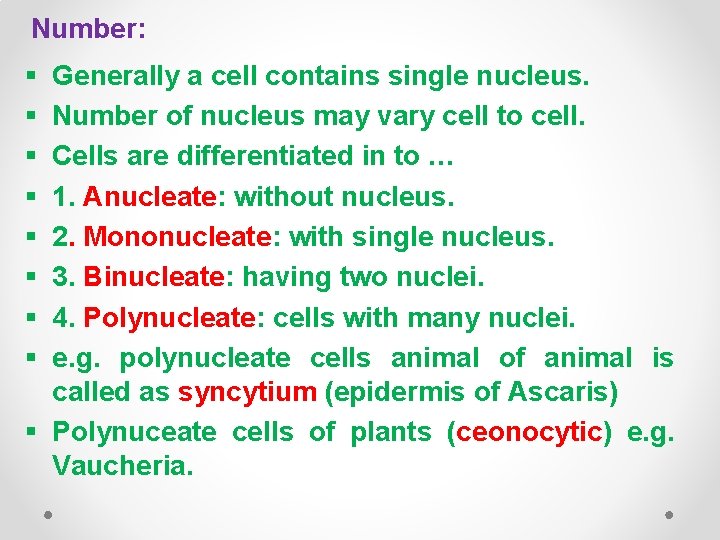 Number: § § § § Generally a cell contains single nucleus. Number of nucleus