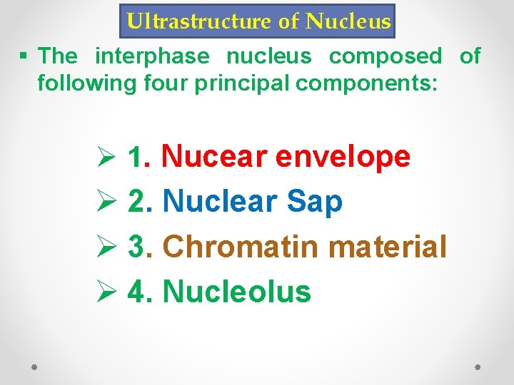 Ultrastructure of Nucleus § The interphase nucleus composed of following four principal components: Ø