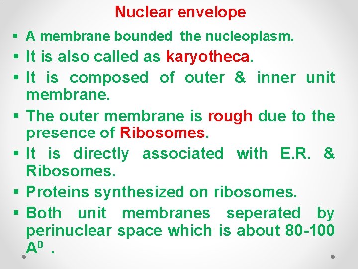 Nuclear envelope § A membrane bounded the nucleoplasm. § It is also called as