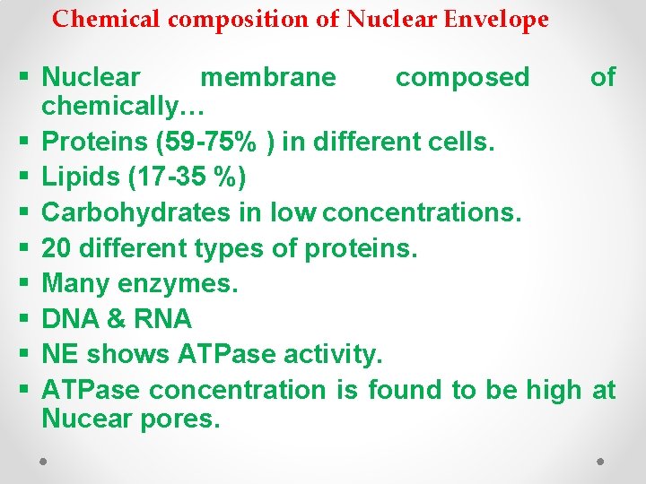 Chemical composition of Nuclear Envelope § Nuclear membrane composed of chemically… § Proteins (59