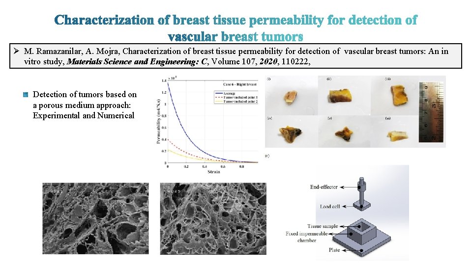 Ø M. Ramazanilar, A. Mojra, Characterization of breast tissue permeability for detection of vascular