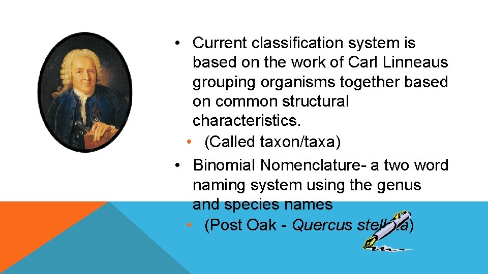  • Current classification system is based on the work of Carl Linneaus grouping