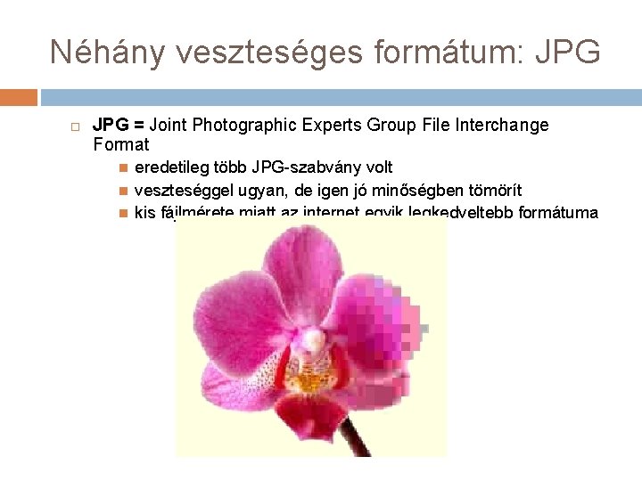 Néhány veszteséges formátum: JPG = Joint Photographic Experts Group File Interchange Format eredetileg több