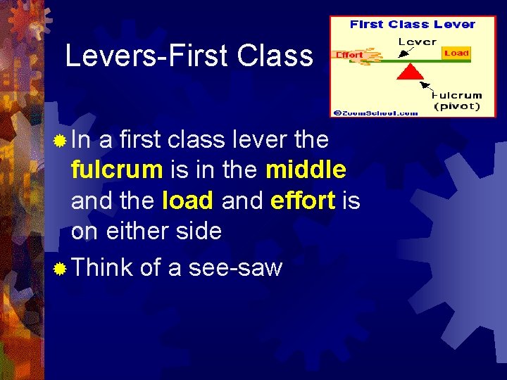Levers-First Class ® In a first class lever the fulcrum is in the middle