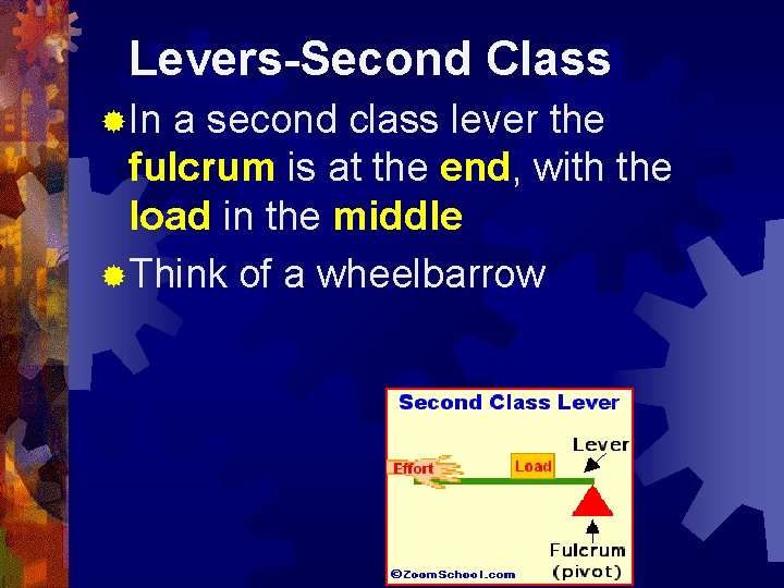 Levers-Second Class ®In a second class lever the fulcrum is at the end, with