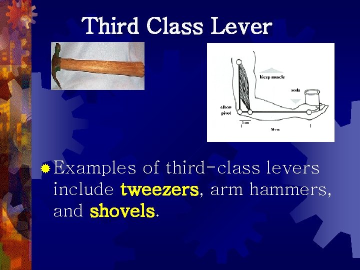 Third Class Lever ® Examples of third-class levers include tweezers, arm hammers, and shovels.