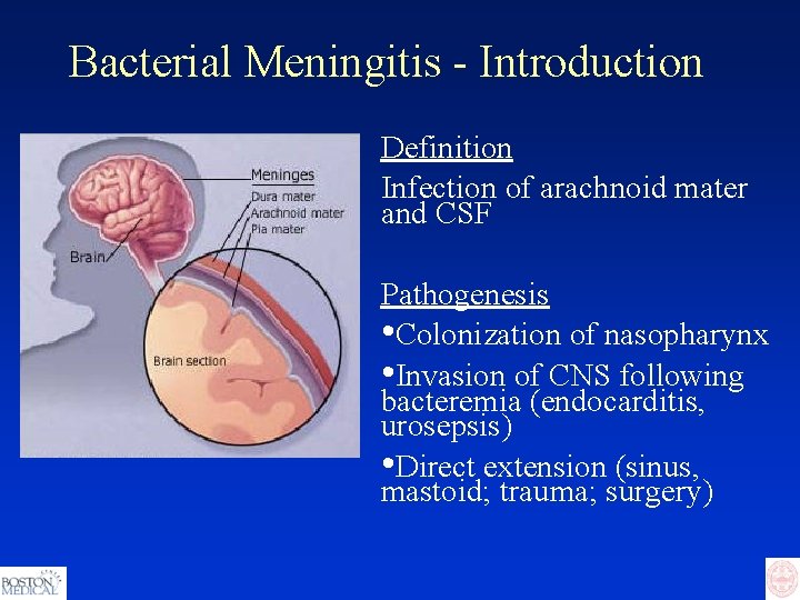 Bacterial Meningitis - Introduction Definition Infection of arachnoid mater and CSF Pathogenesis • Colonization