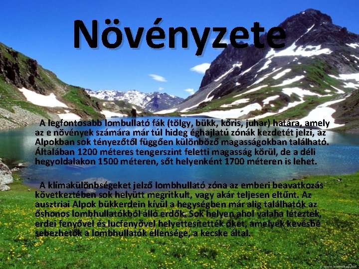 Növényzete A legfontosabb lombullató fák (tölgy, bükk, kőris, juhar) határa, amely az e növények