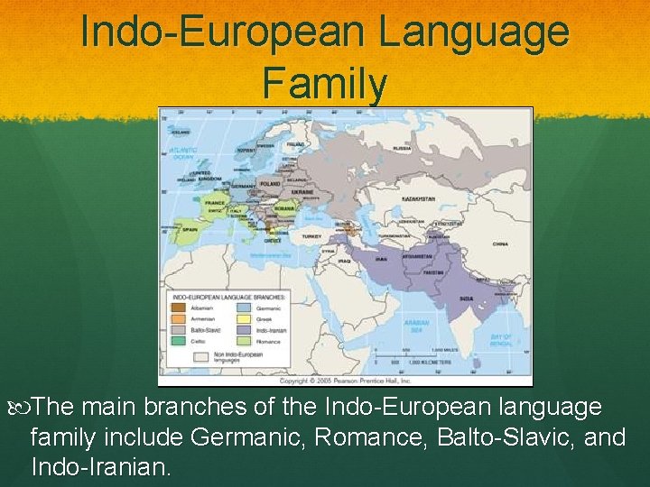 Indo-European Language Family The main branches of the Indo-European language family include Germanic, Romance,
