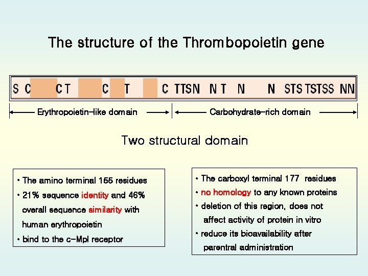 The structure of the Thrombopoietin gene Erythropoietin-like domain Carbohydrate-rich domain Two structural domain •