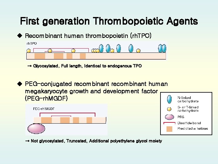 First generation Thrombopoietic Agents u Recombinant human thrombopoietin (rh. TPO) → Glycosylated, Full length,