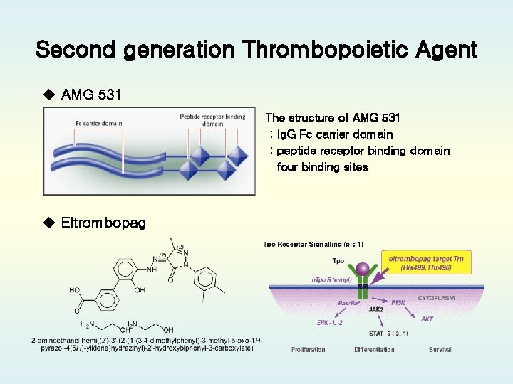 Second generation Thrombopoietic Agent u AMG 531 The structure of AMG 531 ; Ig.