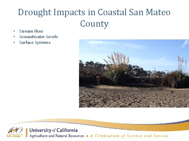 Drought Impacts in Coastal San Mateo County • Stream Flow • Groundwater Levels •
