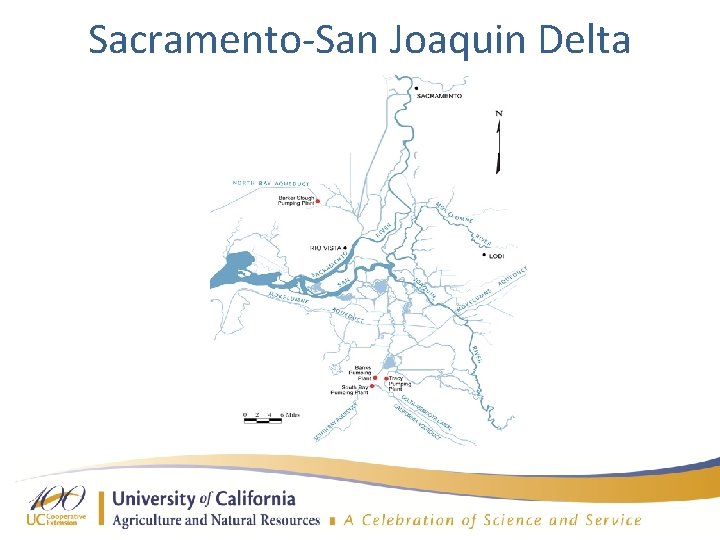 Sacramento-San Joaquin Delta 