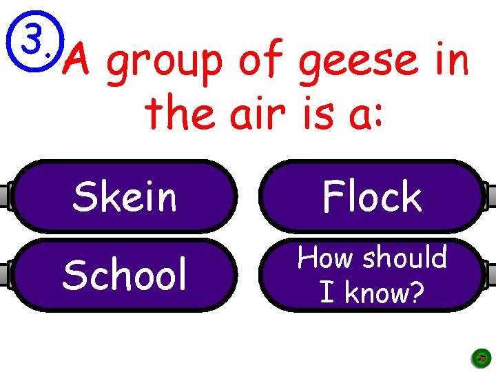 3. A group of geese in the air is a: Skein Flock School How