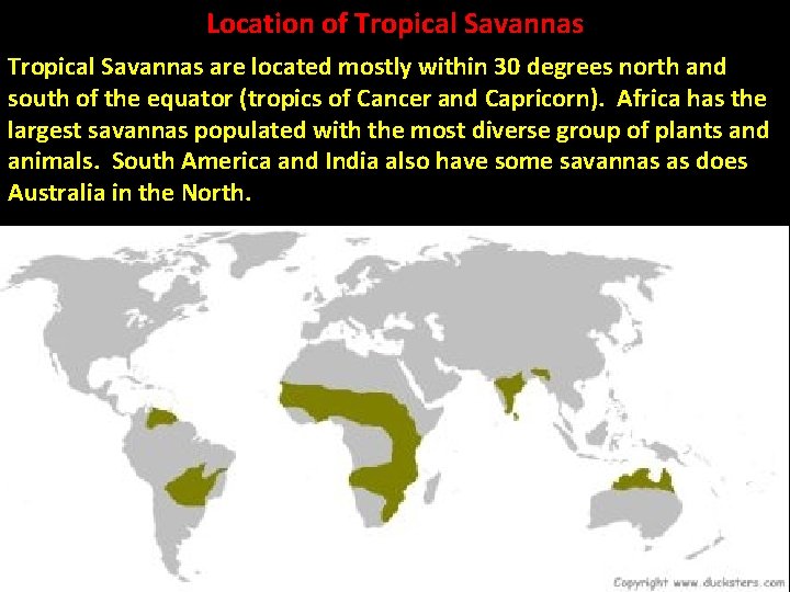 Location of Tropical Savannas are located mostly within 30 degrees north and south of