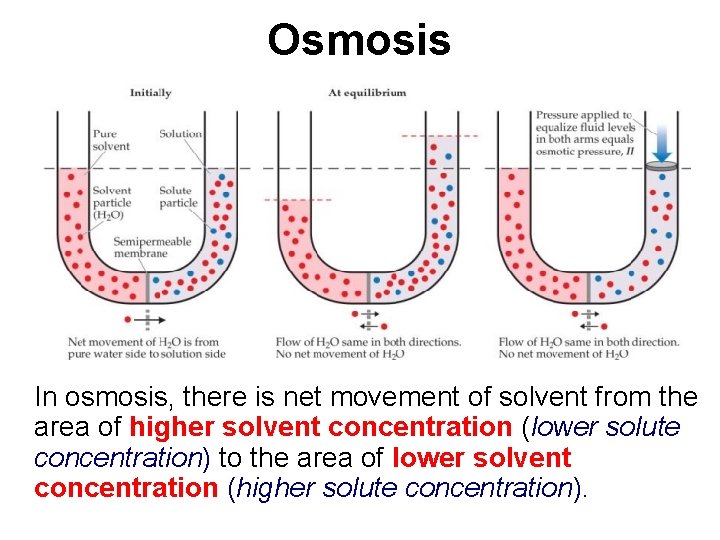 Osmosis In osmosis, there is net movement of solvent from the area of higher