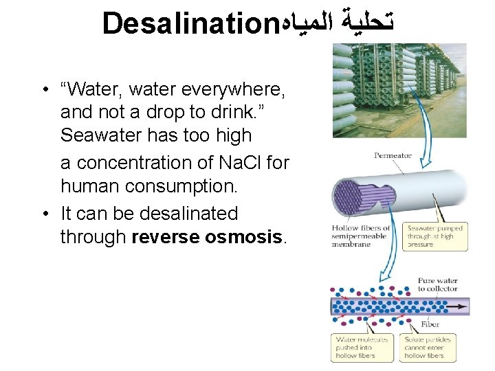 Desalination ﺗﺤﻠﻴﺔ ﺍﻟﻤﻴﺎﻩ • “Water, water everywhere, and not a drop to drink. ”