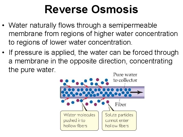 Reverse Osmosis • Water naturally flows through a semipermeable membrane from regions of higher