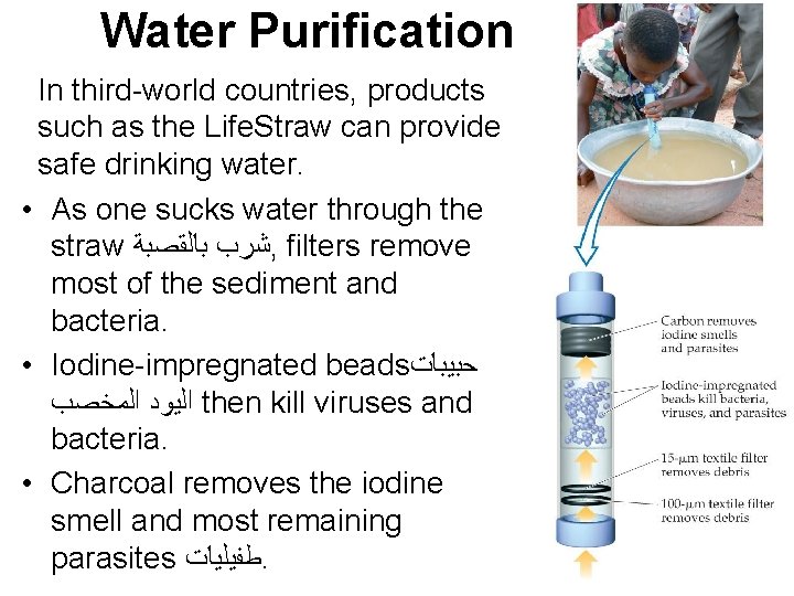 Water Purification In third-world countries, products such as the Life. Straw can provide safe