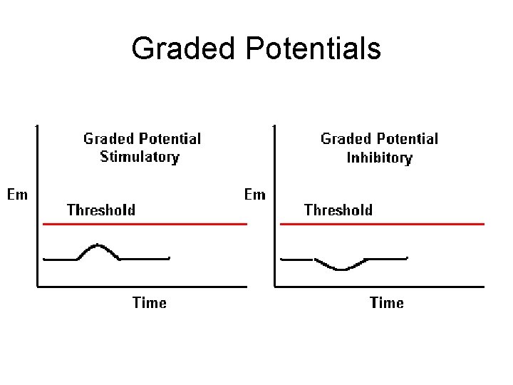 Graded Potentials 