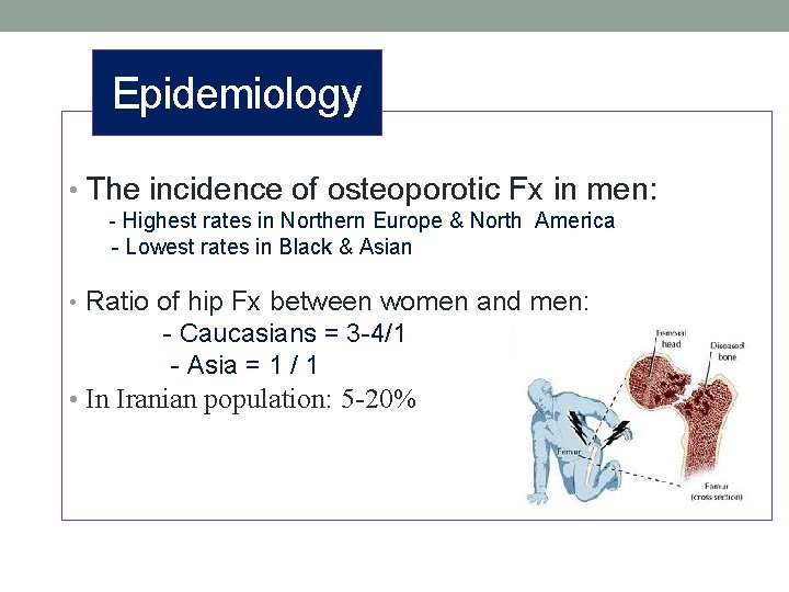 Epidemiology • The incidence of osteoporotic Fx in men: - Highest rates in Northern